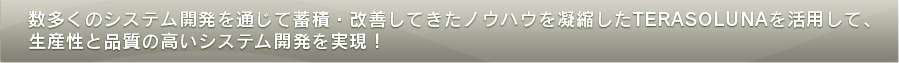 数多くのシステム開発を通じて蓄積・改善してきたノウハウを凝縮したTERASOLUNAを活用して、生産性と品質の高いシステム開発を実現！